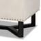 Baxton Studio Esther Modern and Contemporary Beige Velvet Fabric and Dark Brown Finished Wood Storage Ottoman 178-11297-Zoro - alternate 6